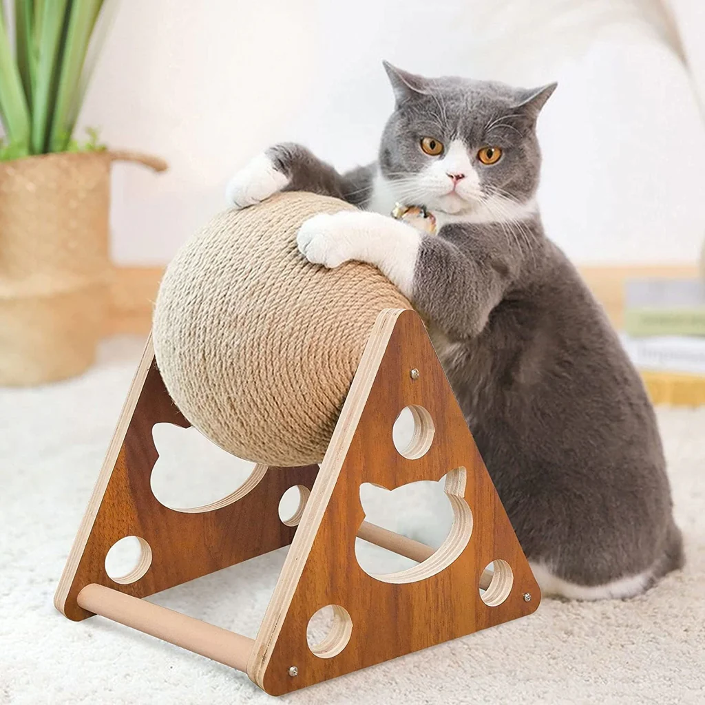 Cat Toys